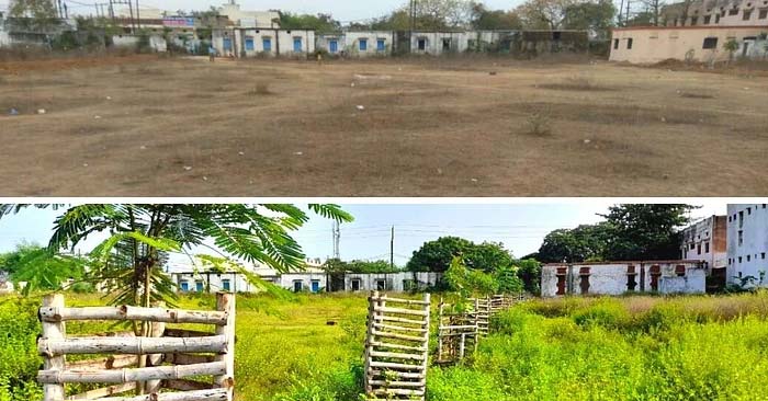 headmaster from madhya pradesh turned his working govt school into full of greenary in 20 years