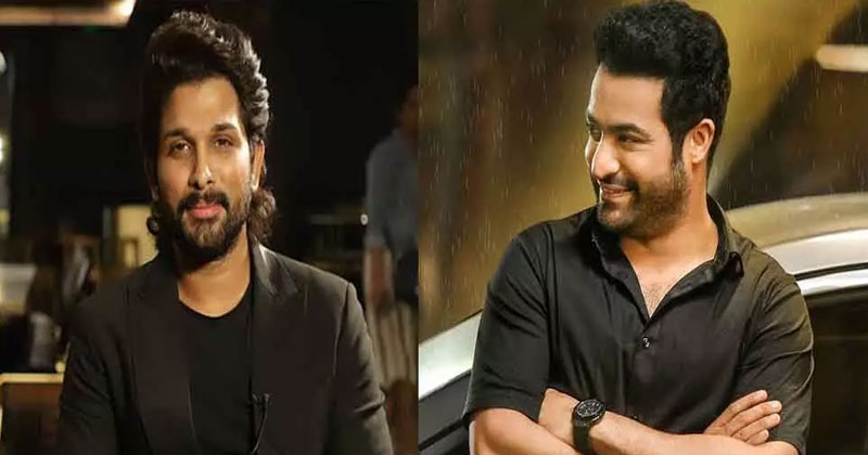 ntr and bunny fans are in dilemma