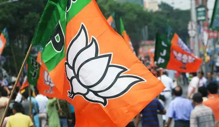 bjp palnig to special status for andhra pradesh for next elections