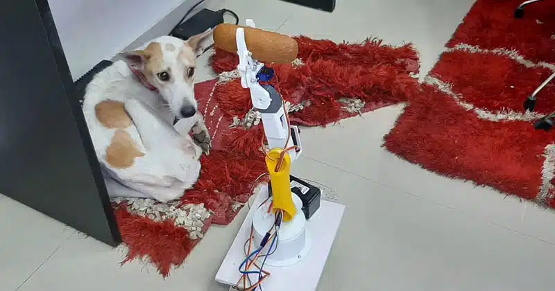 Milind Raj‌ Made the robot for the dog