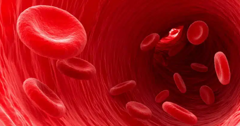 anemia in women reasons and foods to take