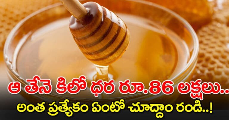Honey : ఆ తేనె కిలో ధర రూ.8.6 లక్షలు, అంత ప్రత్యేకం ఏంటో చూద్దాం రండీ!