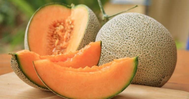 Muskmelon : ఈ సీజన్ లో కర్బుజ తో కలిగే లాభాలు ఎన్నో తెలుసా..?