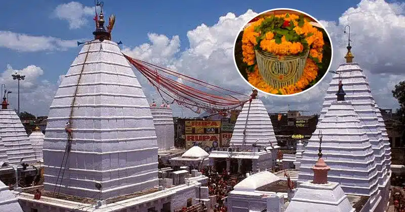 Health Provider… Vaidyanatha Jyotirlingam