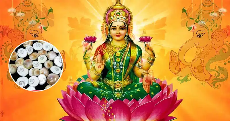 If you get such signs, it means that Lakshmi Devi will enter your house soon