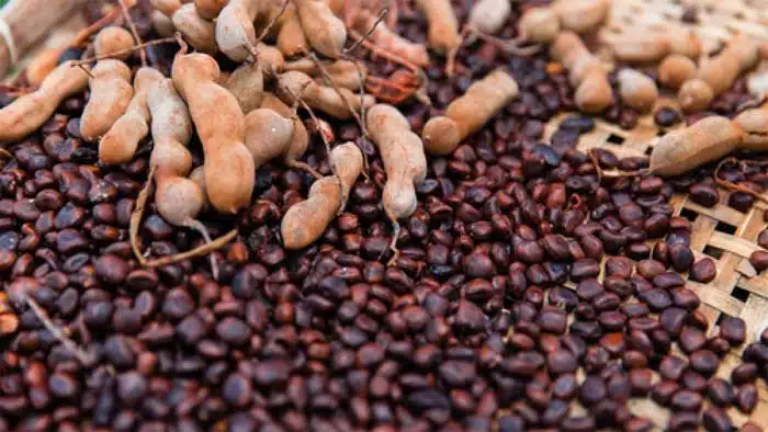 health benefits of tamarind seeds