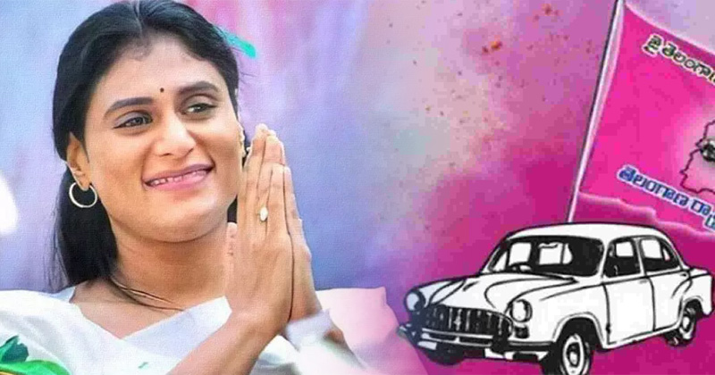 YS Sharmila : వైఎస్ షర్మిల పార్టీ వెనుక ఉన్నది ఎవరు..? బయటపడ్డ షాకింగ్ నిజాలు?