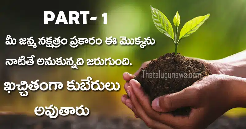 Janma Nakshatra plants names in telugu