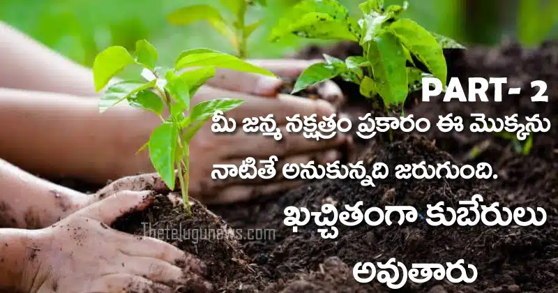 Nakshatra plants names in telugu