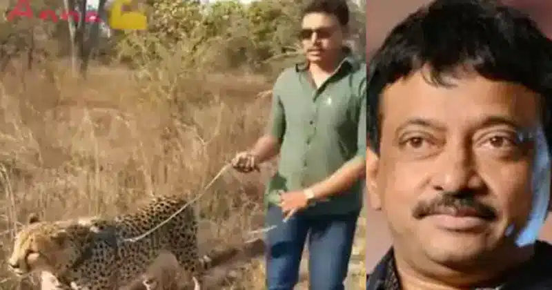 RGV