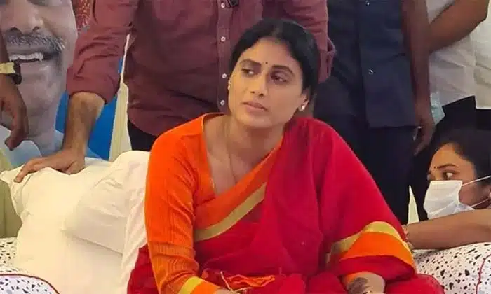 trs leaders on ys sharmila tweet on municipal elections