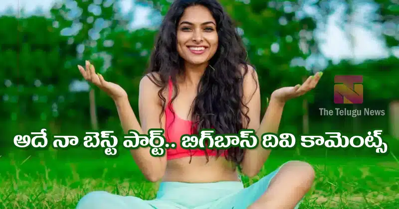 Bigg Boss Divi