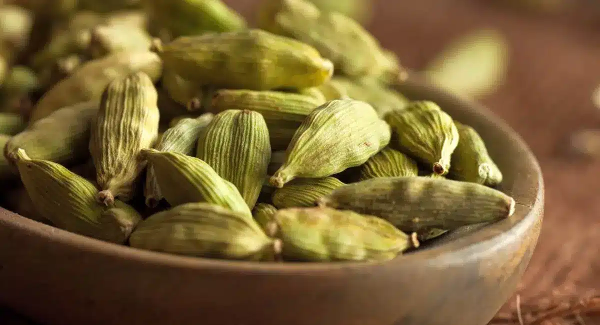 cardamom is good for lungs health tips telugu