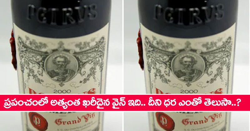 Costliest Wine : ప్రపంచంలోనే అత్యంత ఖరీదైన వైన్ ఇది.. దీని ధర, స్పెషాలిటీ తెలిస్తే నోరెళ్లబెడతారు?