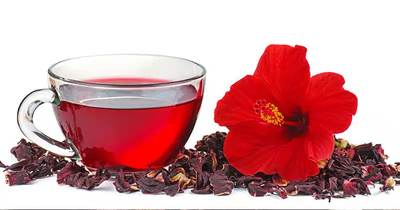 Hibiscus Tea