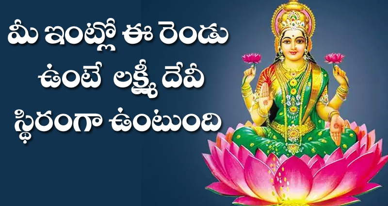 Lakshmi Devi  : మీ ఇంట్లో ఈ రెండు ఉంటే లక్ష్మీదేవి  స్థిరంగా ఉంటుంది