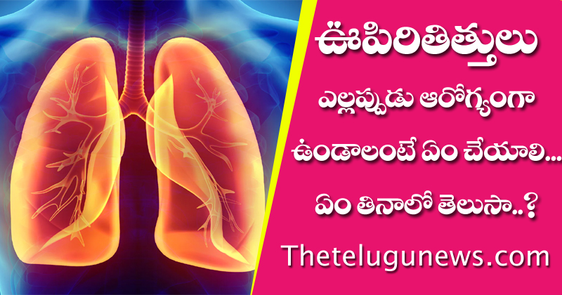 Healthy Lungs : ఊపిరితిత్తులు ఎల్లప్పుడూ ఆరోగ్యంగా ఉండాలంటే ఏం చేయాలి.. ఏం తినాలో తెలుసుకోండి..!