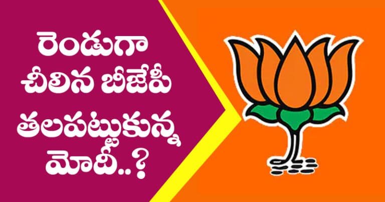 రెండు గా చీలిన బీజేపీ – తలపట్టుకున్న మోదీ ??