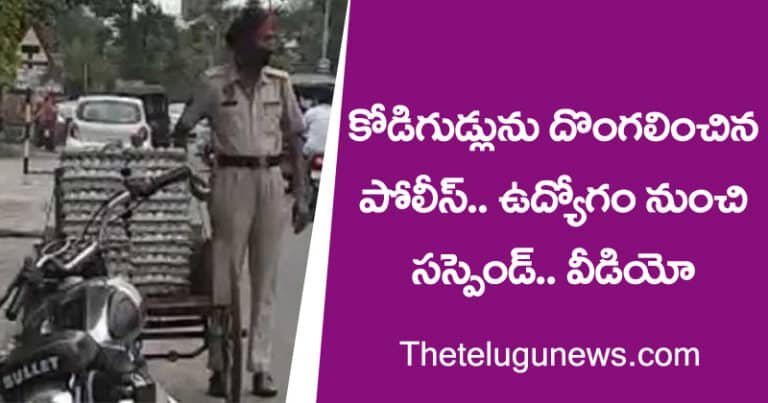 కోడిగుడ్లను దొంగిలించిన పోలీస్‌.. ఉద్యోగం నుంచి స‌స్పెండ్‌.. వీడియో..!