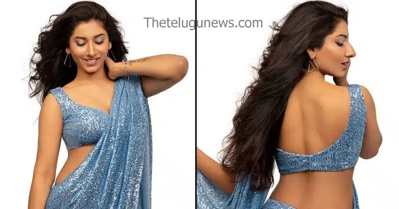 vishnu priya Saree Pics Viral