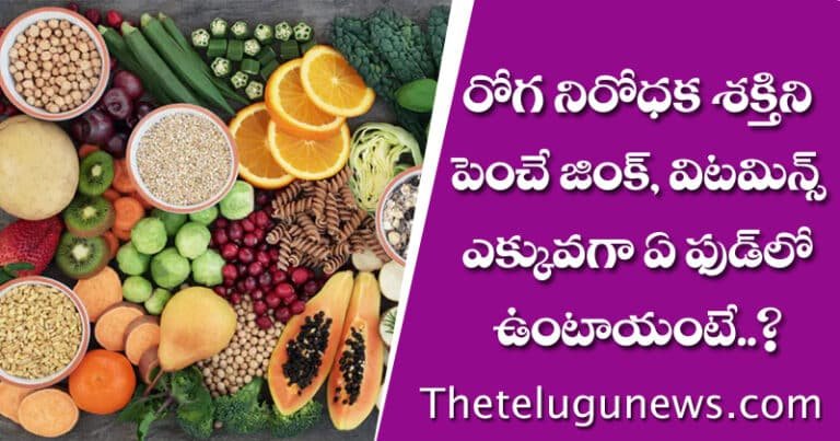 Zinc : రోగ నిరోధక శక్తిని పెంచే జింక్, విటమిన్స్ ఎక్కువగా ఏ ఫుడ్ లో ఉంటాయంటే..?
