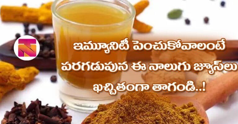 Immunity : ఇమ్యూనిటీ పెంచుకోవాలంటే పరగడుపున ఈ నాలుగు జ్యూస్‌లు ఖ‌చ్చితంగా తాగండి..!