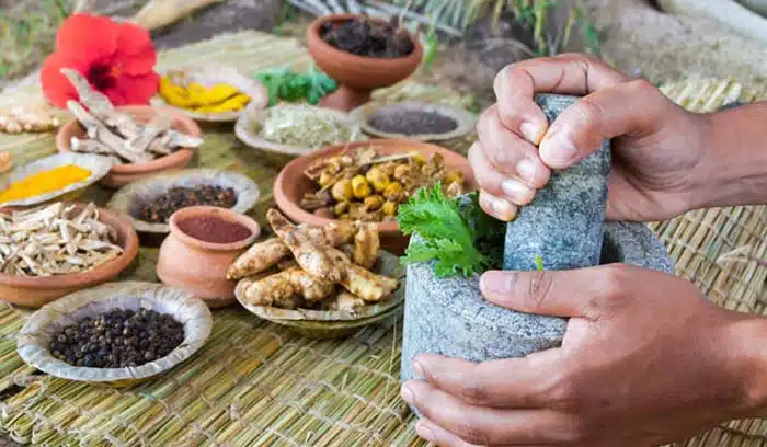 how to increase immunity power ayurvedic tips telugu
