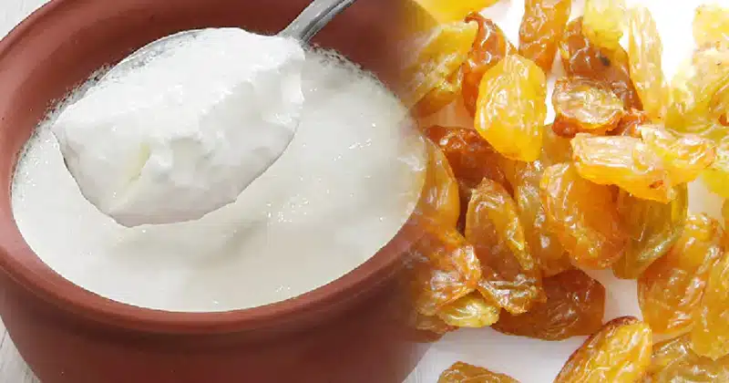 health benifits kismis and curd