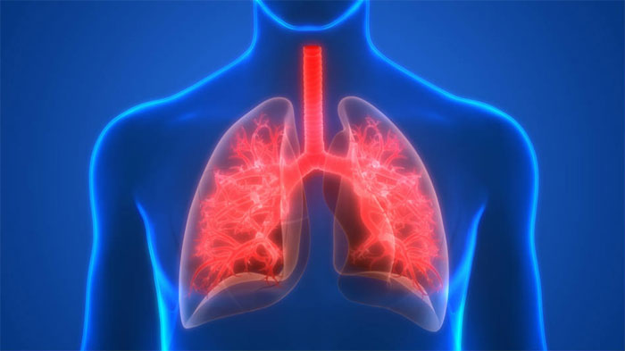 how to keep lungs healthy tips telugu