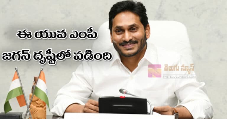 ఈ యువ మహిళ ఎంపీ జగన్ దృష్టిలో పడింది