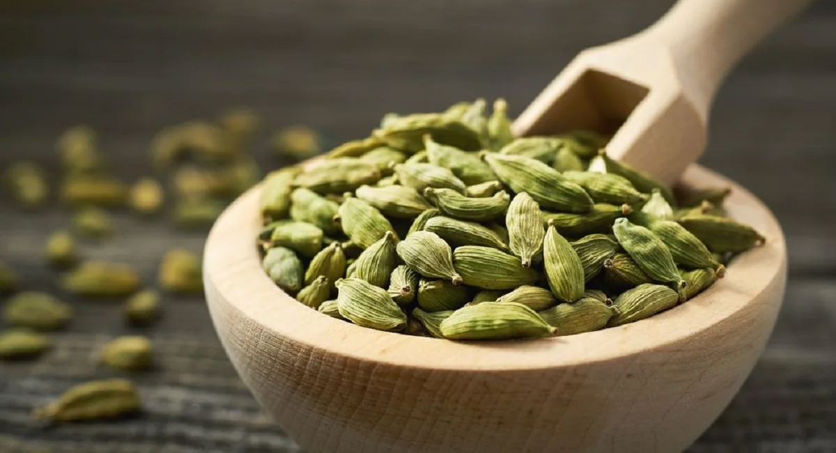 Cardamom