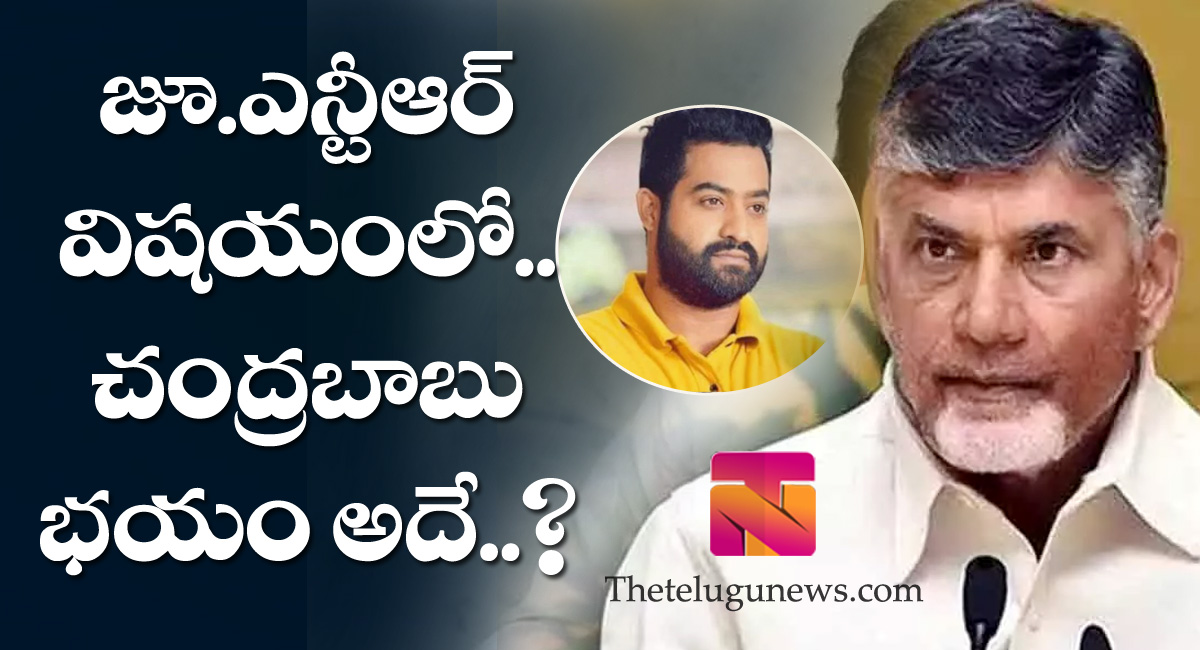 NTR : జూనియర్ ఎన్టీఆర్ విషయంలో.. చంద్రబాబు భయం అదేనా?..