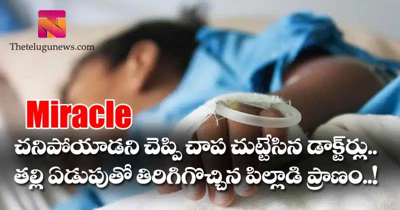 miracle wonderfull rebirth for a boy