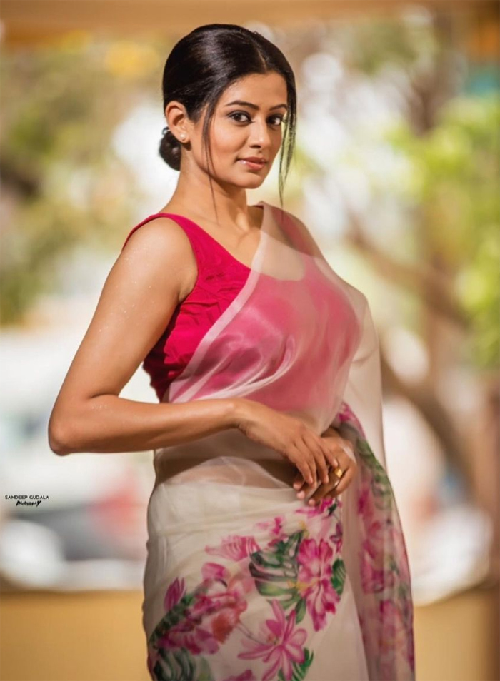 Priyamani Latest Saree Pics goes to viral