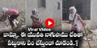 Viral Video girl catches The snake with hands