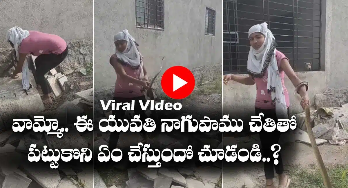 Viral Video girl catches The snake with hands