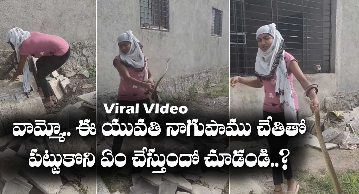 Viral Video girl catches The snake with hands