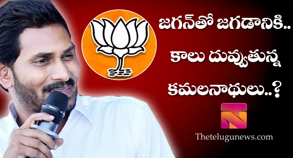 direct political will start between yS jagan and bjp