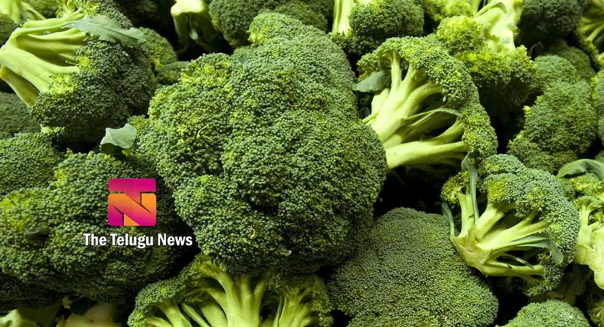 broccoli health benefits telugu