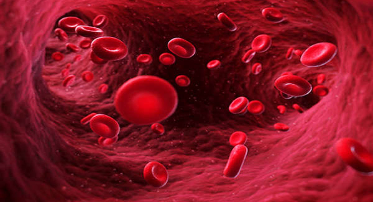 symptoms of blood cancer and diagnosis treatment