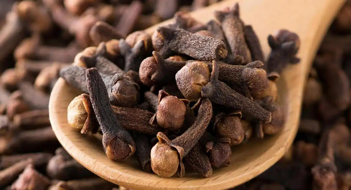 Health Benefits of cloves