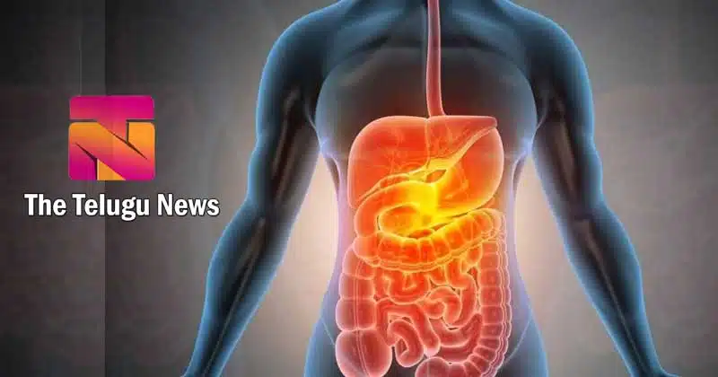health benifits Of Digestive System