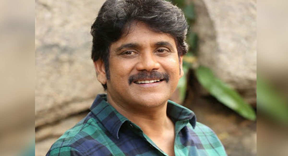 nagarjuna and jayapradha to act together in a movie