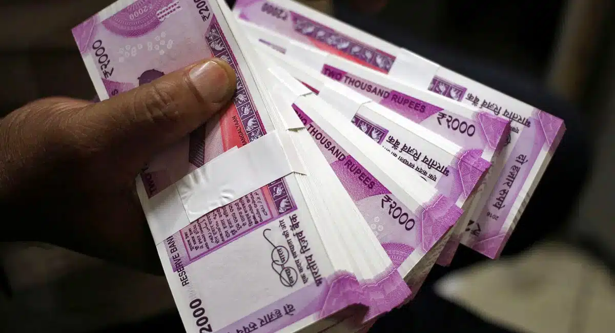 Business Idea on Earn lakhs of income by cultivating these crops