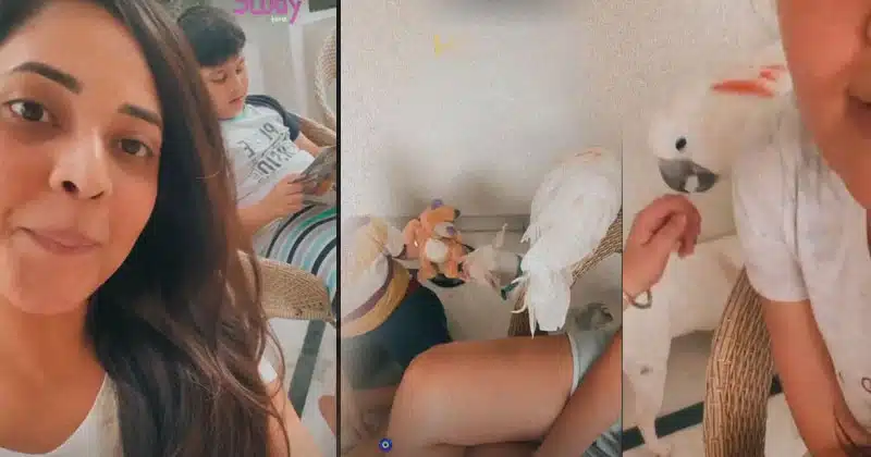 Anasuya Bharadwaj Wear Shorts In Home