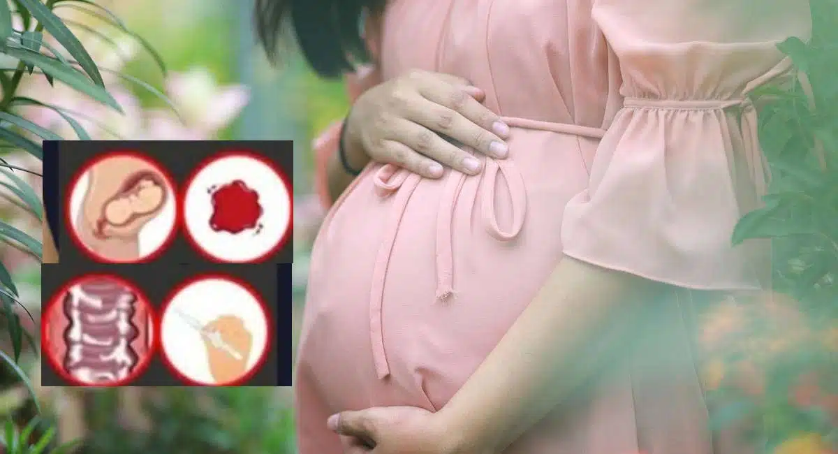 early pregnancy symptoms telugu health tips