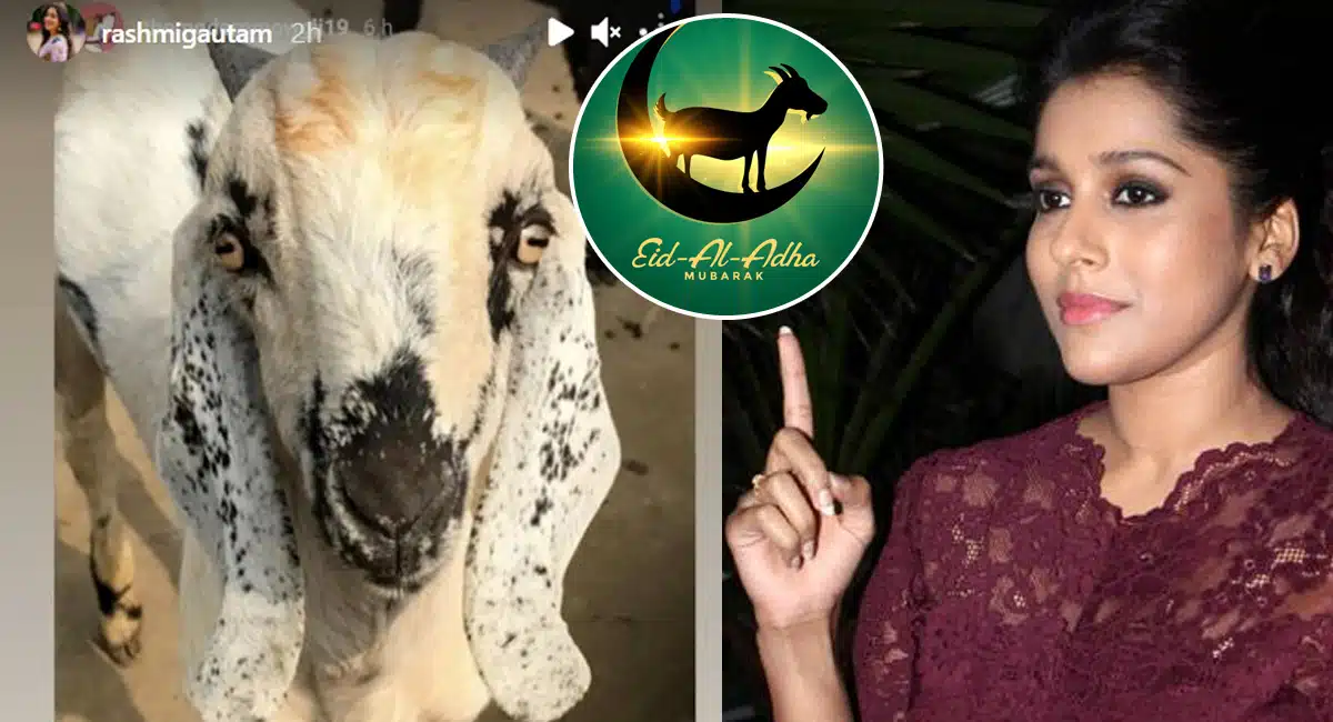 Anchor rashmi gautam About on eid bakrid