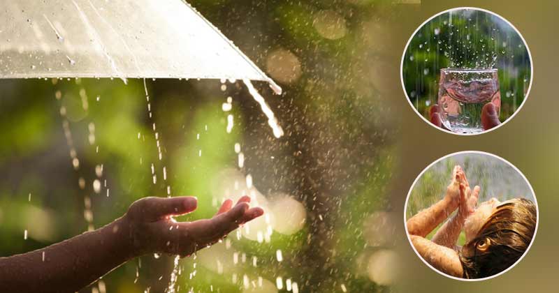 Rain Water  : వ‌ర్ష‌పు నీరు తాగితే  ఎటువంటి ఆరోగ్య ప్ర‌యోజ‌నాలు క‌లుగుతాయి.. అస‌లు ప్ర‌యోజ‌నాలు ఉన్నాయా లేవా ?