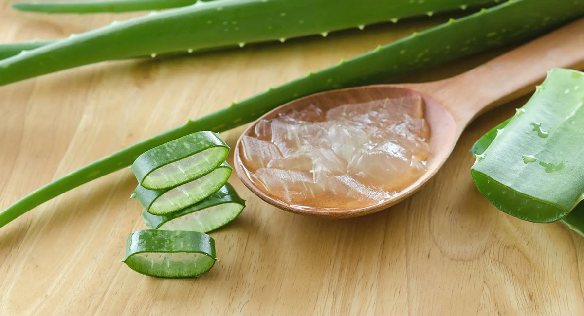 aloe vera health tips telugu