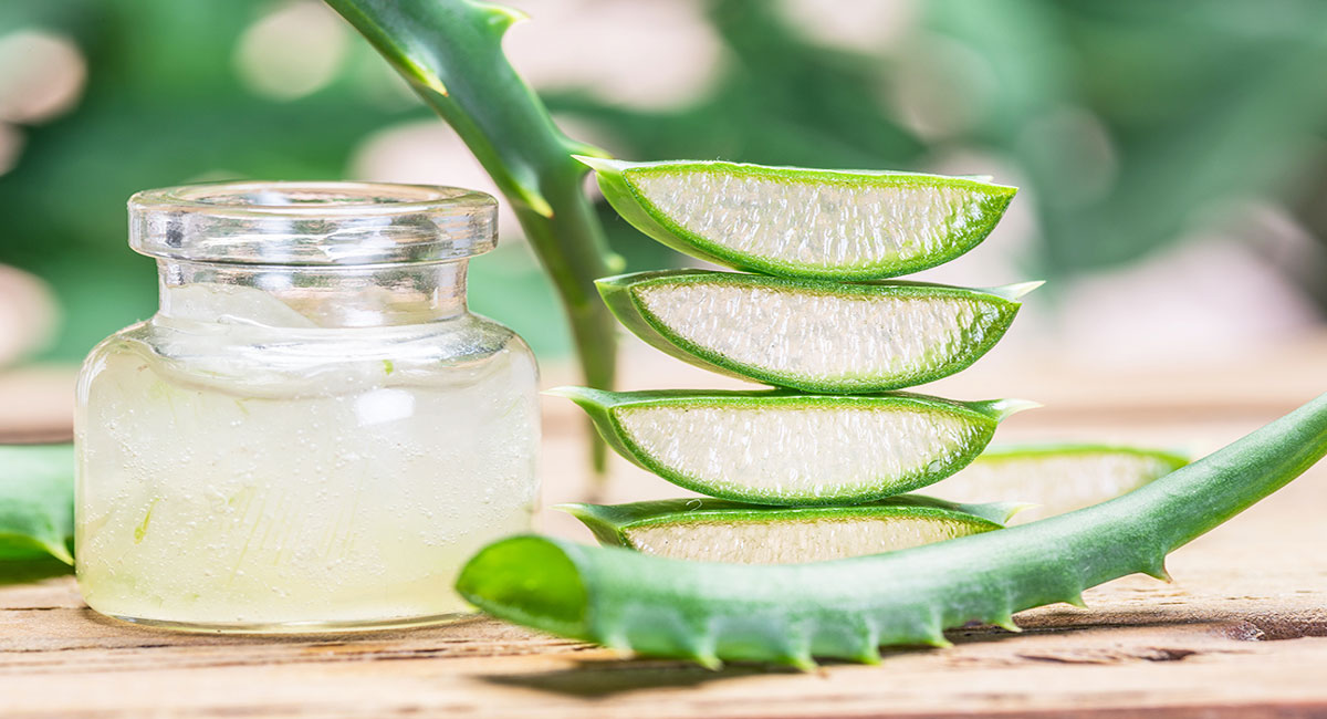 aloe vera health tips telugu